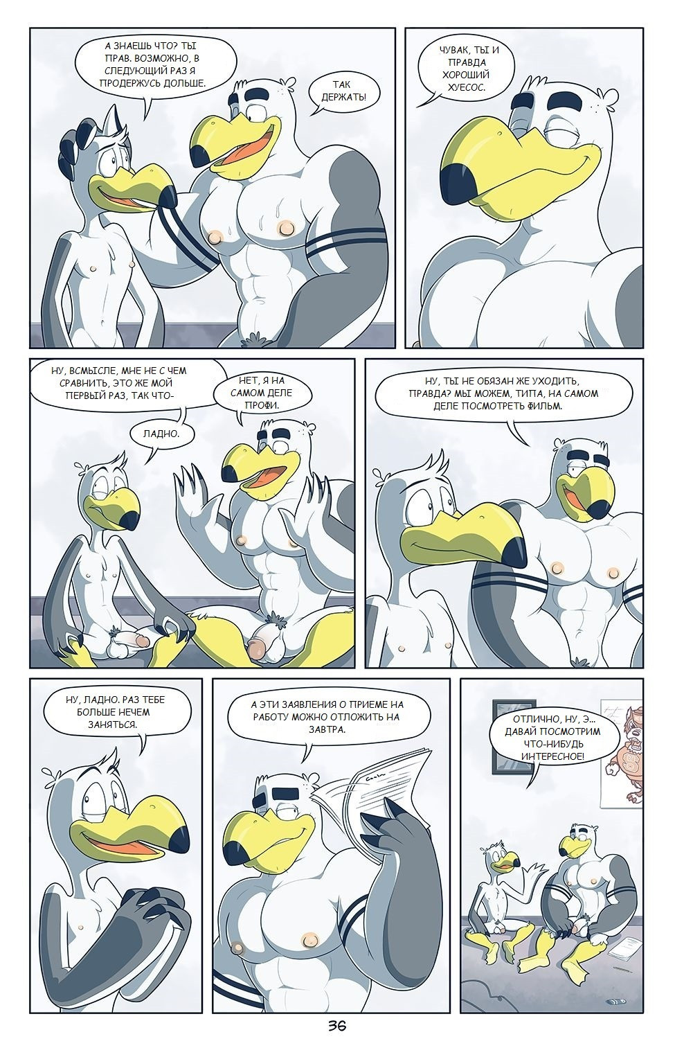 Brogulls | Страница 36