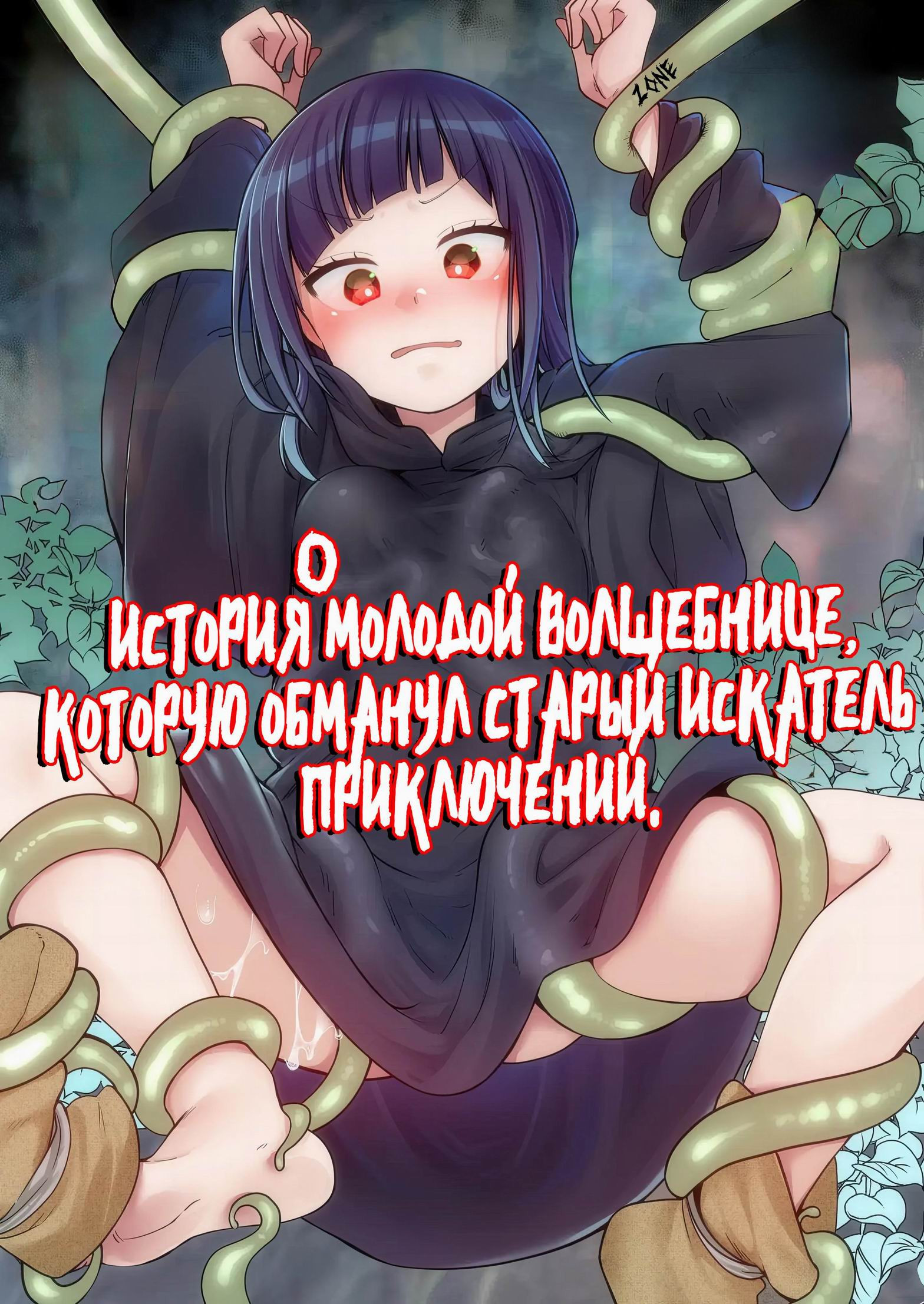 Isekai Shoujo no Seijijou ~Kakedashi Mahoutsukai-chan ga Ossan Boukensha ni Netorareru Hanashi~ / История о молодой волшебнице, которую обманул старый искатель приключений | Страница 0