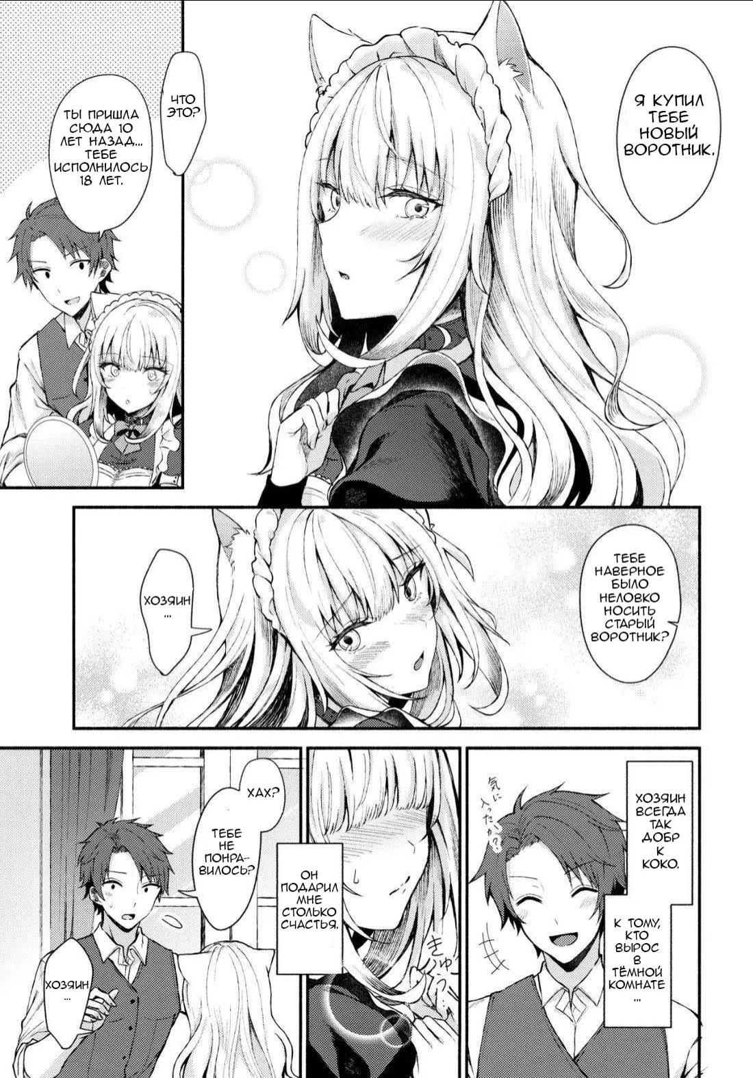 Moto Dorei no Nekomimi Maid to Shiawase Ecchi Suru Hon / Книга о сексе с бывшей рабыней, которая стала горничной 6